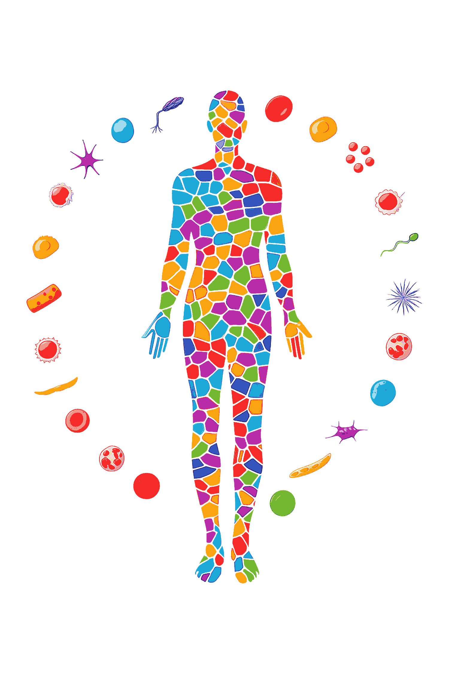 70 Billionen Zellen werden bei Longevity versorgt
